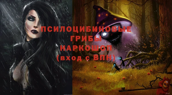 герыч Алексин