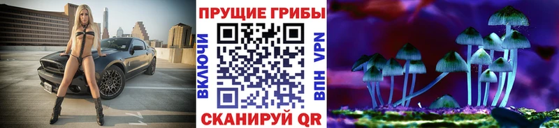 Галлюциногенные грибы Psilocybe  shop как зайти  Бронницы  закладка 